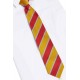 Tie Bishop Ellis Catholic Primary School